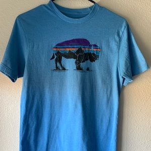 Patagonia t-shirt